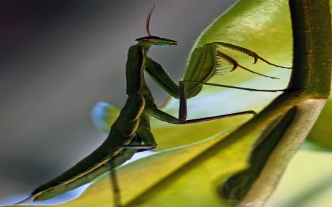 怎么在空间解压-VPS联盟