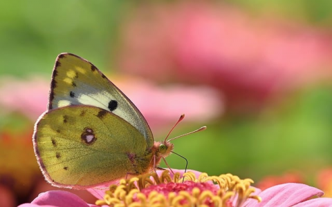 怎么自己设置空间主页-VPS联盟