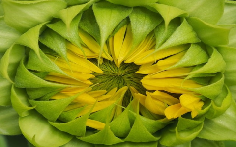 中国联通陕西西安数据中心-VPS联盟