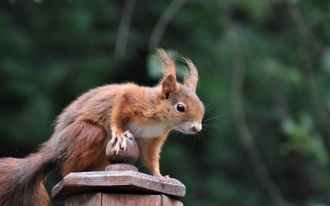 中国云机房-VPS联盟