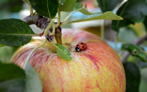 怎么配置云服务器-VPS联盟