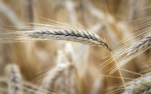 中国联通服务器-VPS联盟