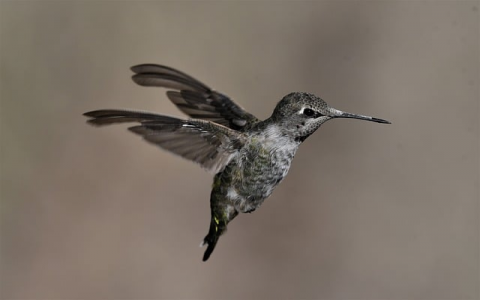 中国移动公司机房介绍-VPS联盟