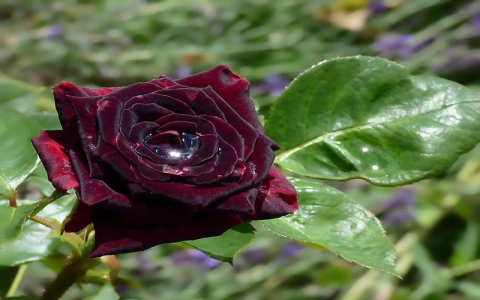 中联通机房监控-VPS联盟