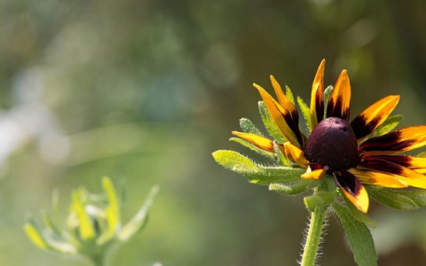 中国虚拟主机服务商排行榜-VPS联盟