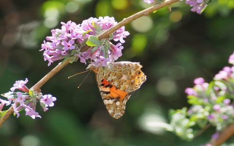 怎么设置空间未开通-VPS联盟