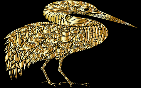 怎样购买空间和域名-VPS联盟