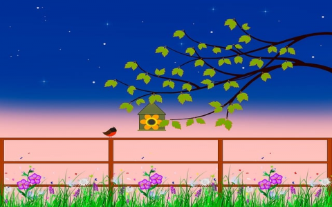 中国云服务器供应商-VPS联盟