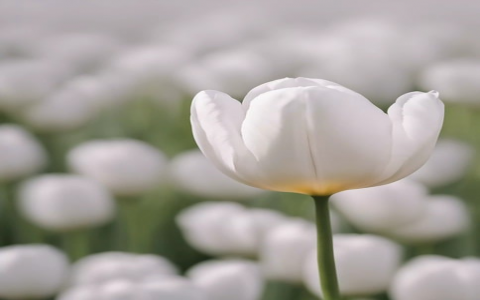 怎么找到数据库的密码吗-VPS联盟