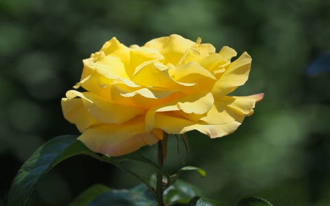 怎么选择云服务器配置-VPS联盟