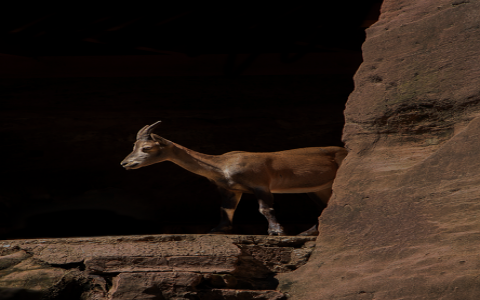 正在连接到在线服务器-VPS联盟