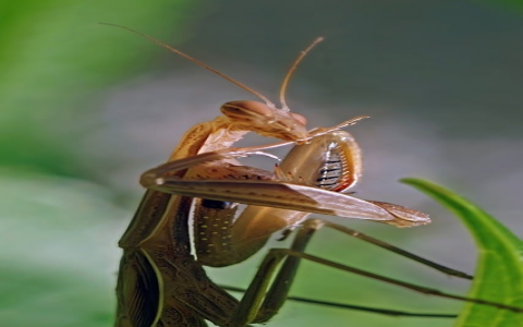 怎么修改服务器登陆密码-VPS联盟