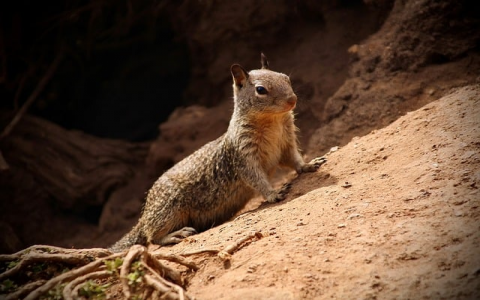 怎么进入阿里云服务器-VPS联盟