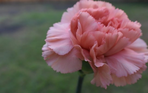 中文域名邮箱注册-VPS联盟