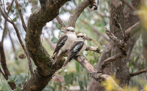 怎样连接国外服务器-VPS联盟