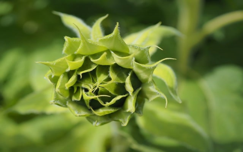 中客数据-VPS联盟