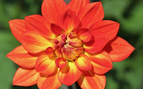 怎么用国外服务器-VPS联盟