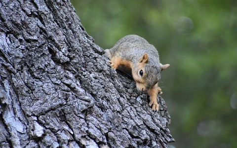 镇江哪里有东莞服务器-VPS联盟