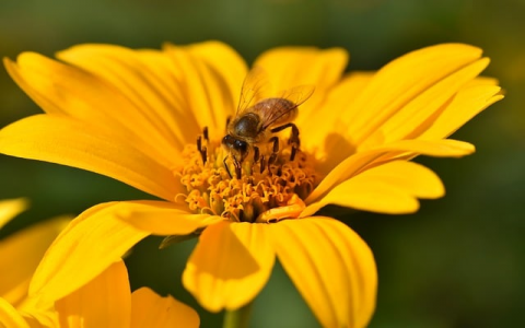 中国com域名注册局-VPS联盟