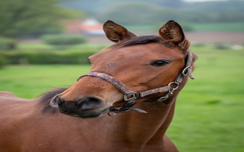 长沙区服务器-VPS联盟