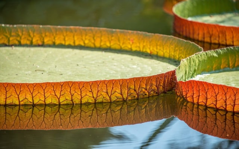 怎样把服务器托管到兆维机房-VPS联盟