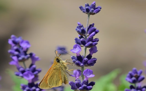 中土大厦 机房-VPS联盟