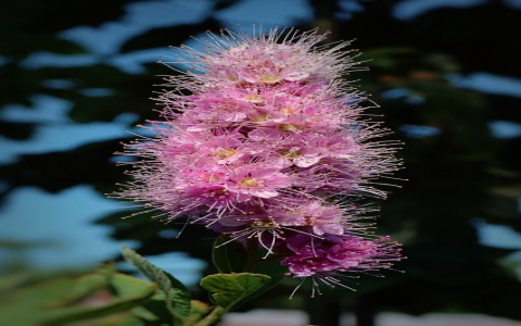 长沙麓谷电信级idc机房-VPS联盟