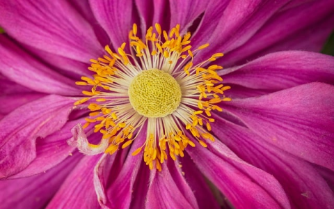 支持ftp的免费网盘介绍-VPS联盟