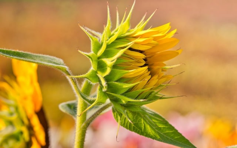 兆维机房 合租-VPS联盟