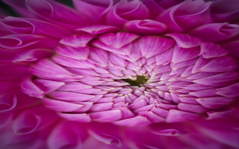 怎么进行服务器托管-VPS联盟