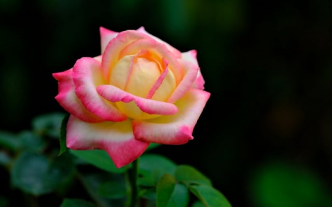 兆维二期机房-VPS联盟