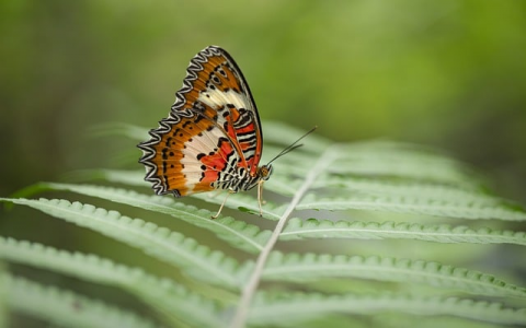 中国空间服务商排名-VPS联盟