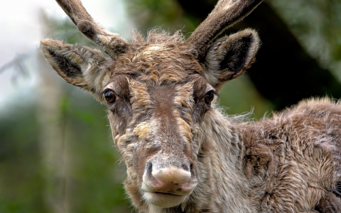 中国域名注册网-VPS联盟