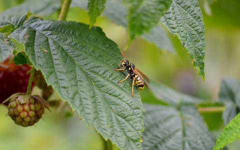 镇江免备案服务器-VPS联盟