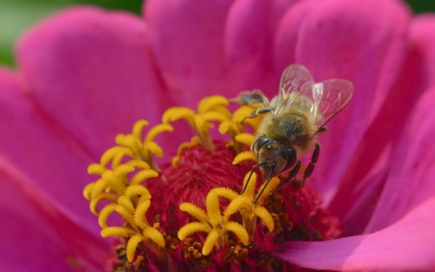 中国数据域名怎么样-VPS联盟