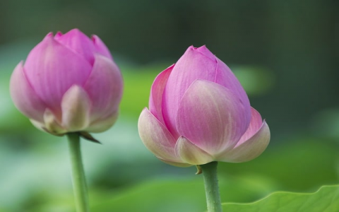 浙江移动石桥机房-VPS联盟