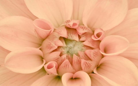 中国域名服务器一定要在国内嘛-VPS联盟