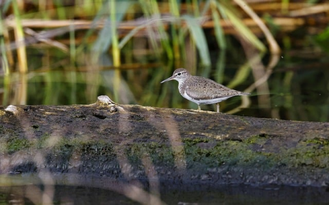 中国网络相关数据-VPS联盟