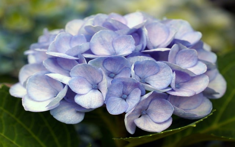 中国电信去到香港无服务器-VPS联盟