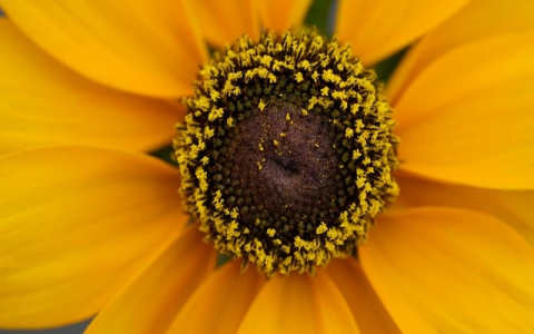 中文顶级域名注册-VPS联盟