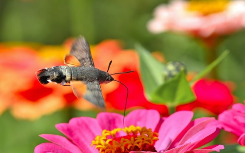 怎么开通空间-VPS联盟