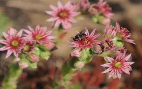 怎么设置服务器的ftp-VPS联盟