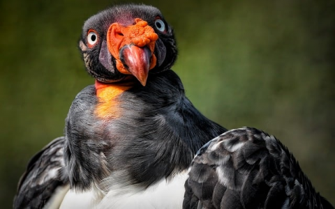 怎么在空间上绑定域名-VPS联盟