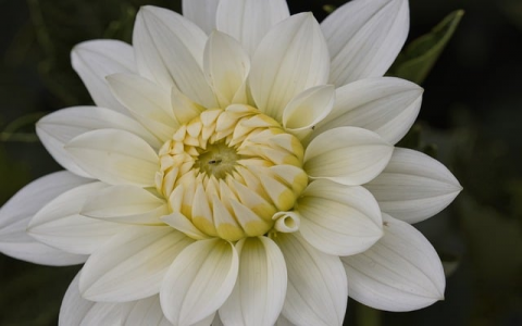 中华数据免费空间-VPS联盟