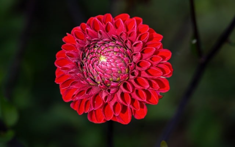 支持域名绑定的免费空间-VPS联盟