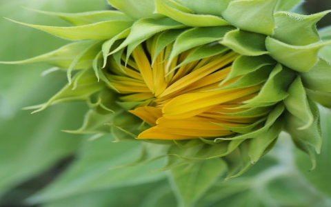 怎么退出服务器登陆不了-VPS联盟