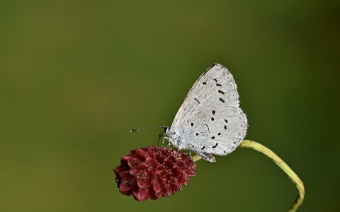 智能云服务器-VPS联盟