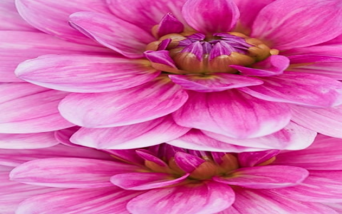 怎样把网站上传到空间-VPS联盟