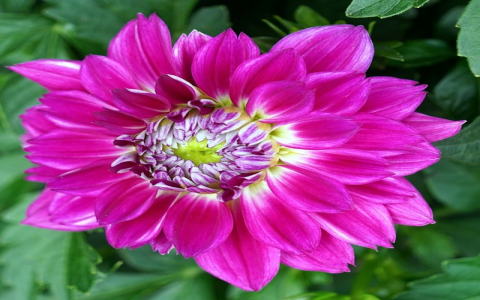 支持jsp的免费空间-VPS联盟