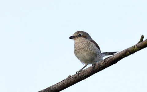 中国服务器网-VPS联盟